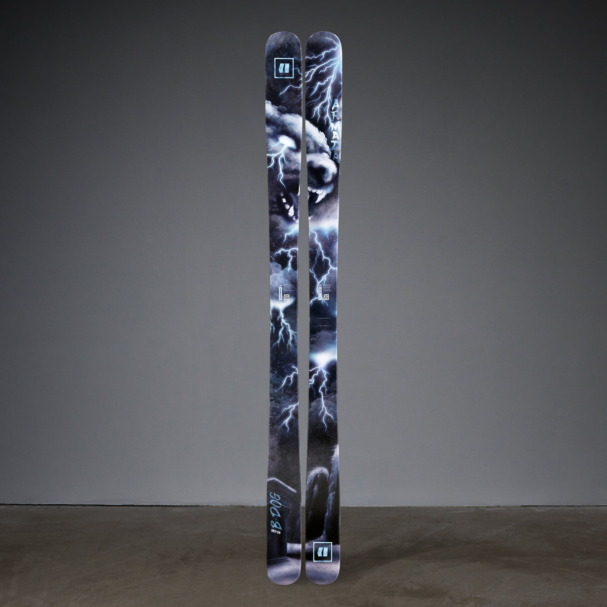 Armada-BDOG_2_1200x1200.jpg?v=