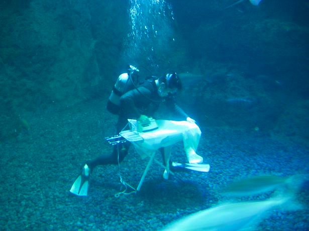 Extreme Ironing Underwater
