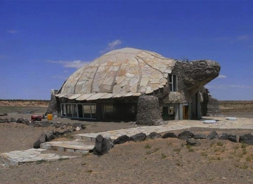 Turtle House