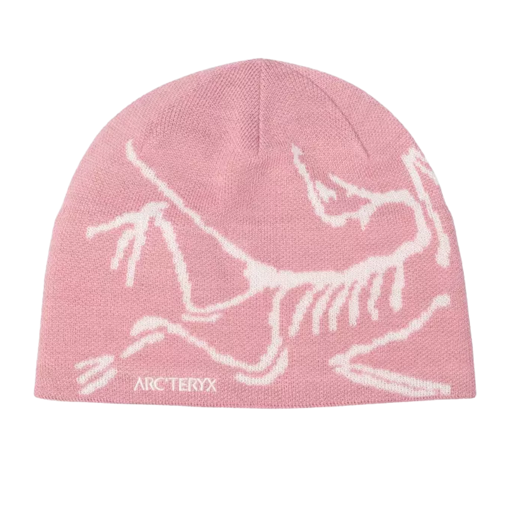 Arcteryx Bird Head Toque – THE SKI MONSTER