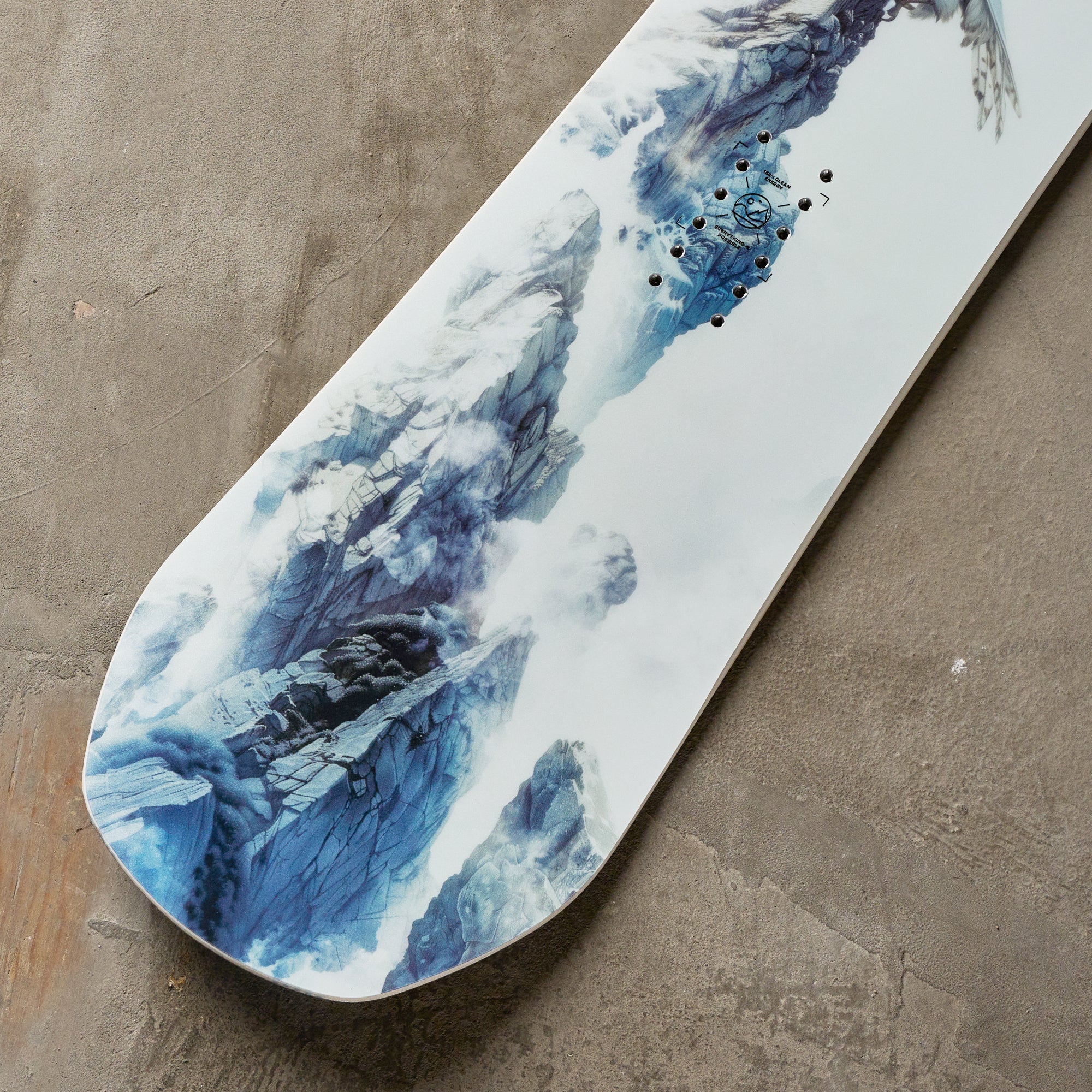 Capita Birds Of A Feather Snowboard 2026 // Women's – THE SKI MONSTER