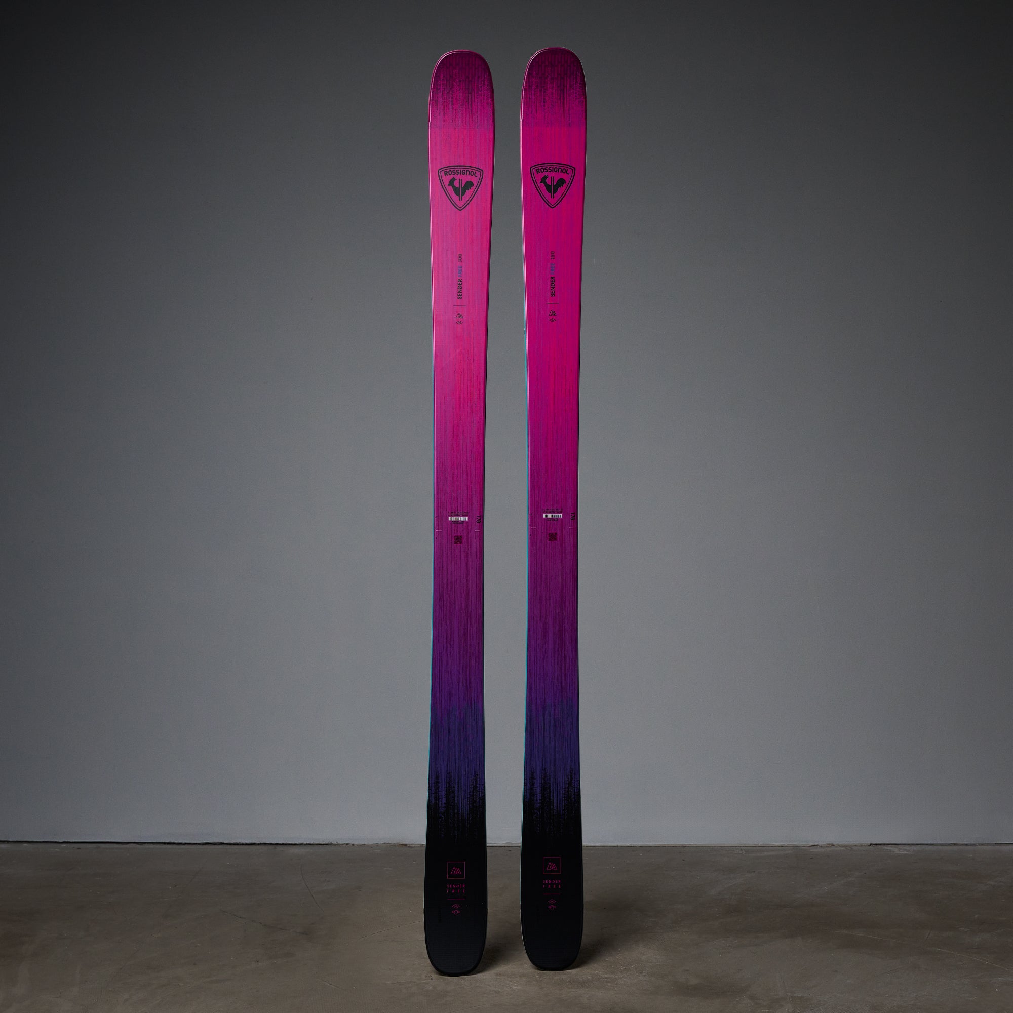 Rossignol Sender Free 100 Skis 2026 – THE SKI MONSTER
