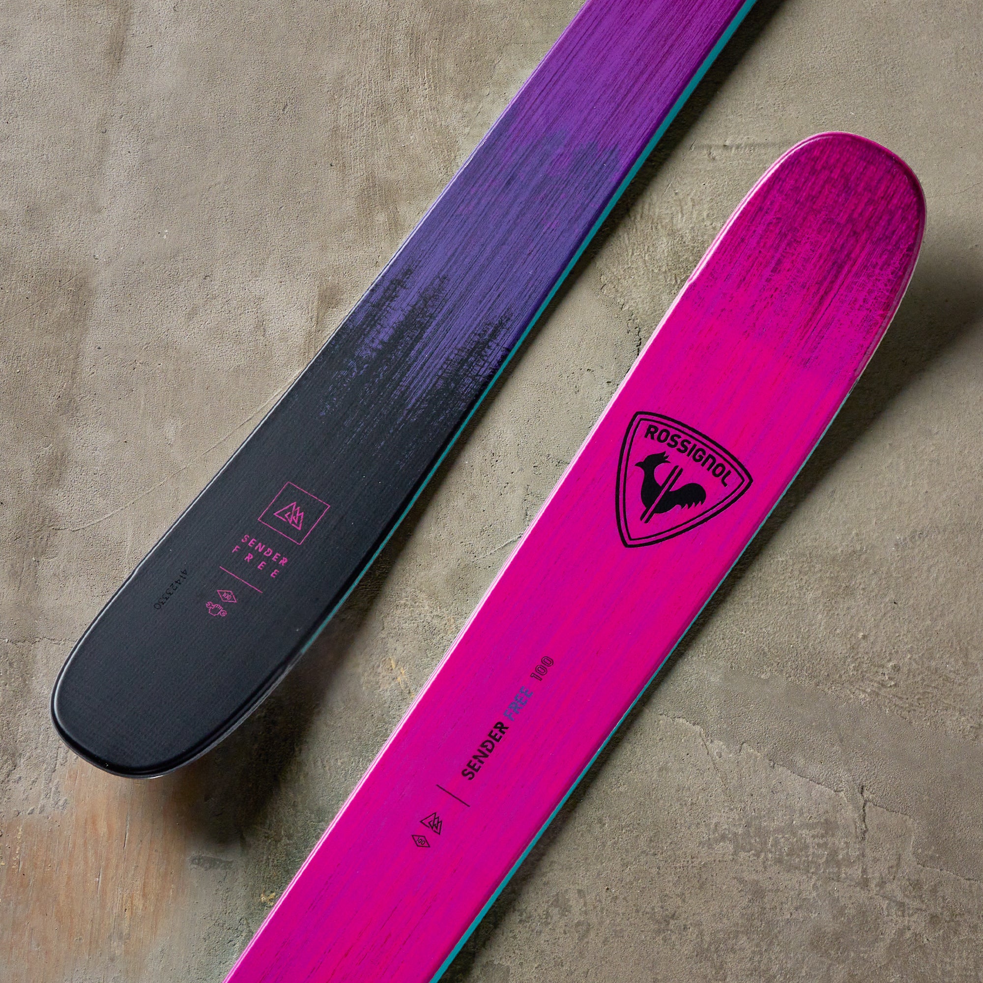 Rossignol Sender Free 100 Skis 2026 – THE SKI MONSTER