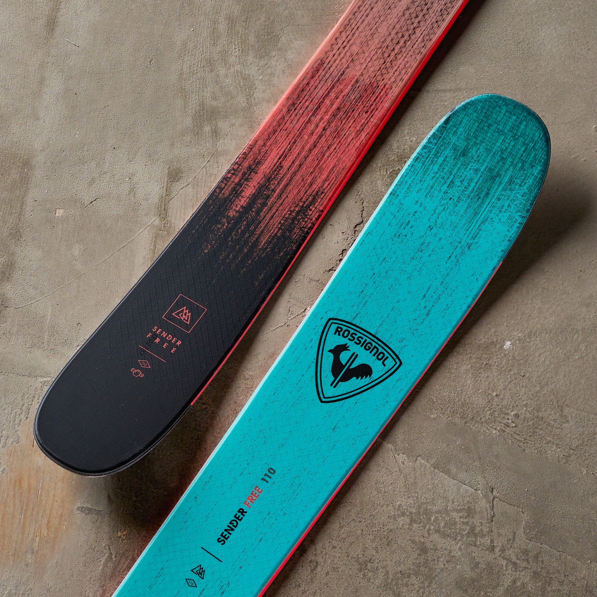 Rossignol Sender Free 110 Skis 2026 – THE SKI MONSTER