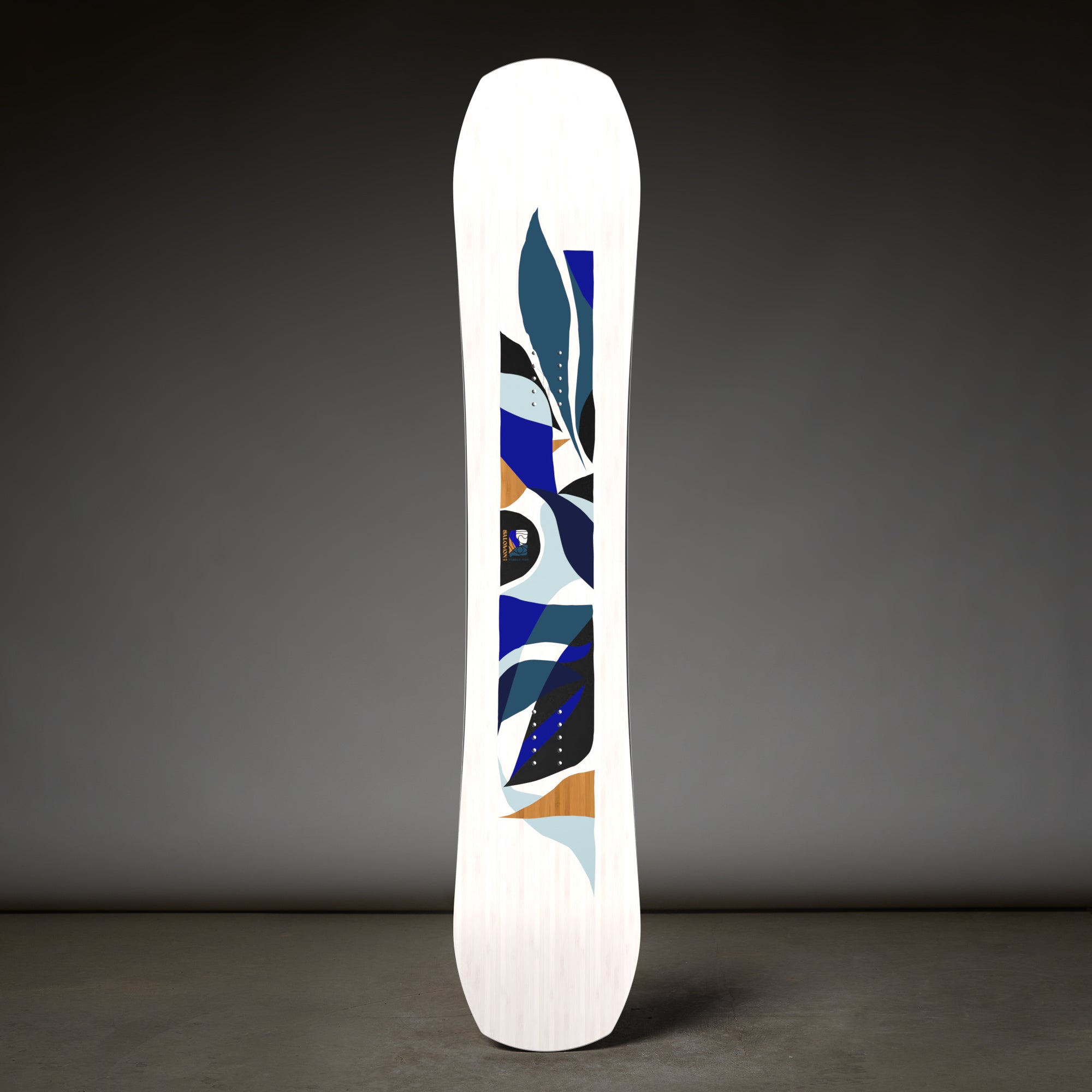 Salomon Rumble Fish Snowboard 2025 // Women's – THE SKI MONSTER