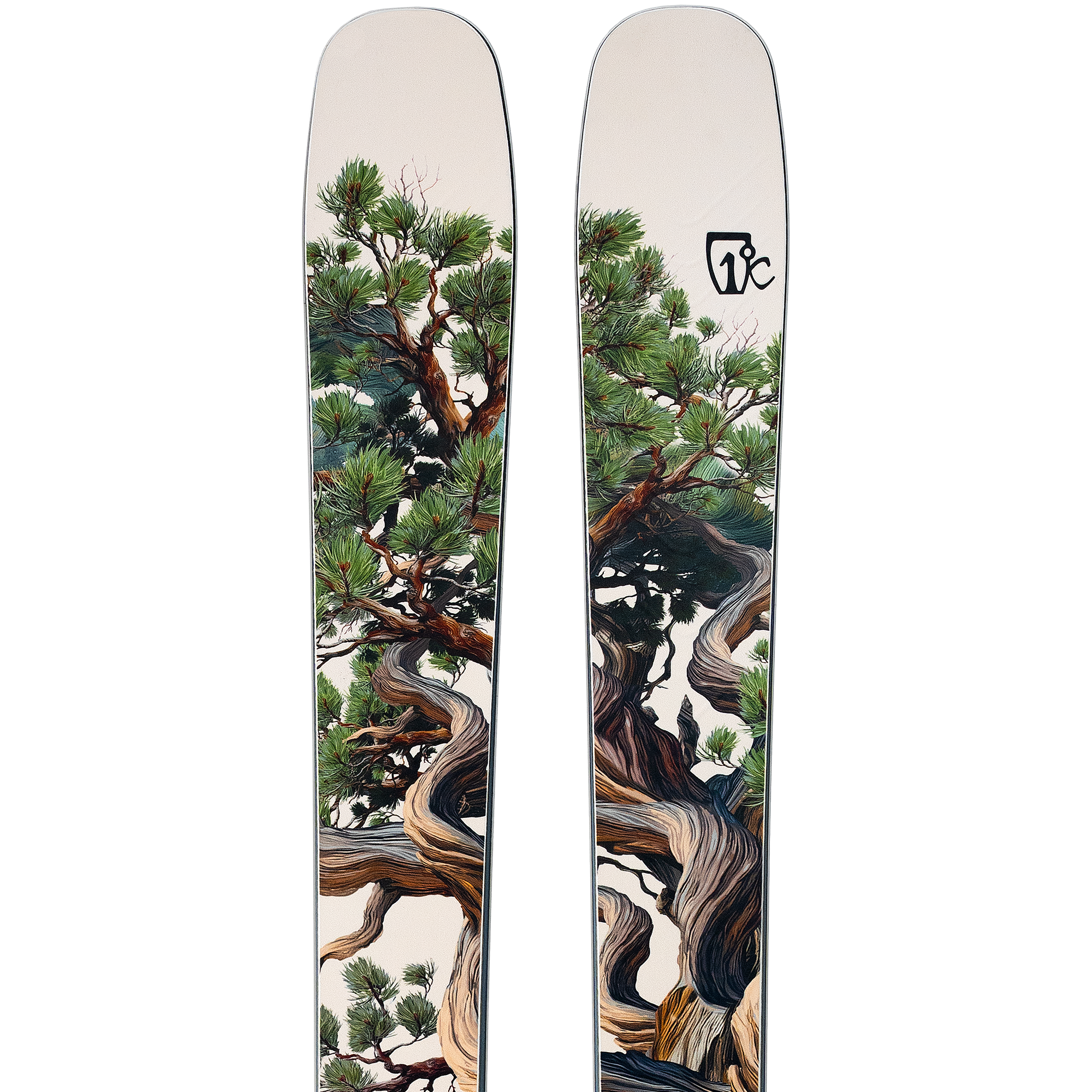 Icelantic Skis – THE SKI MONSTER