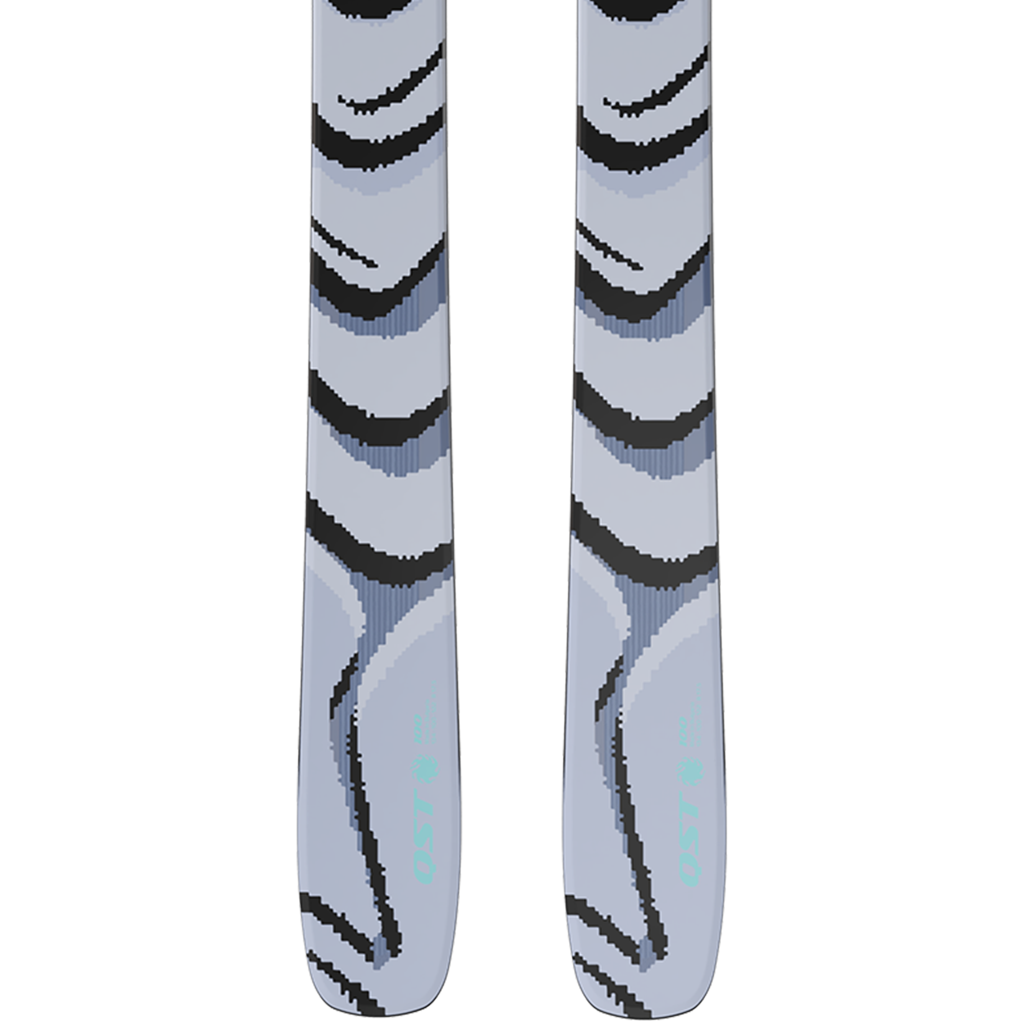 Salomon QST 100 Skis 2027 – THE SKI MONSTER