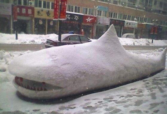 Shark Snow Sculpture, Art
