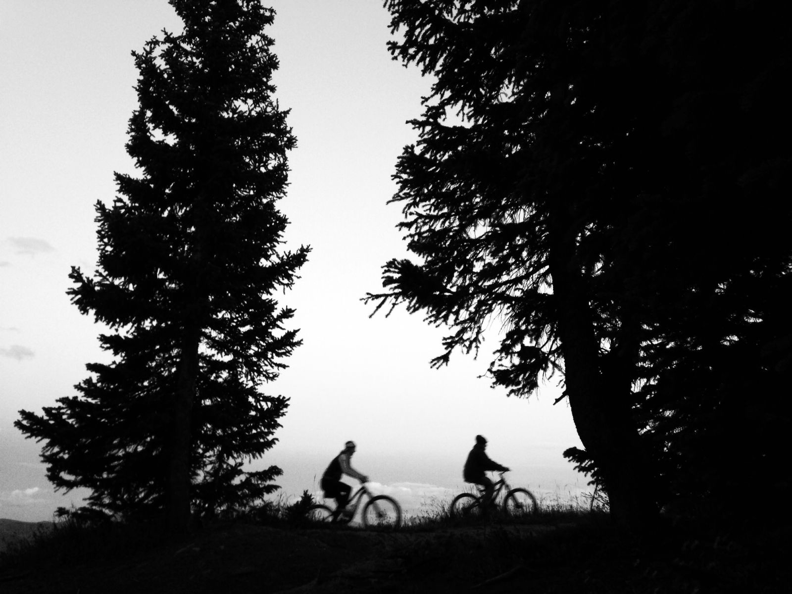 East Vail Chutes, Mountain Biking, Black and White Photography